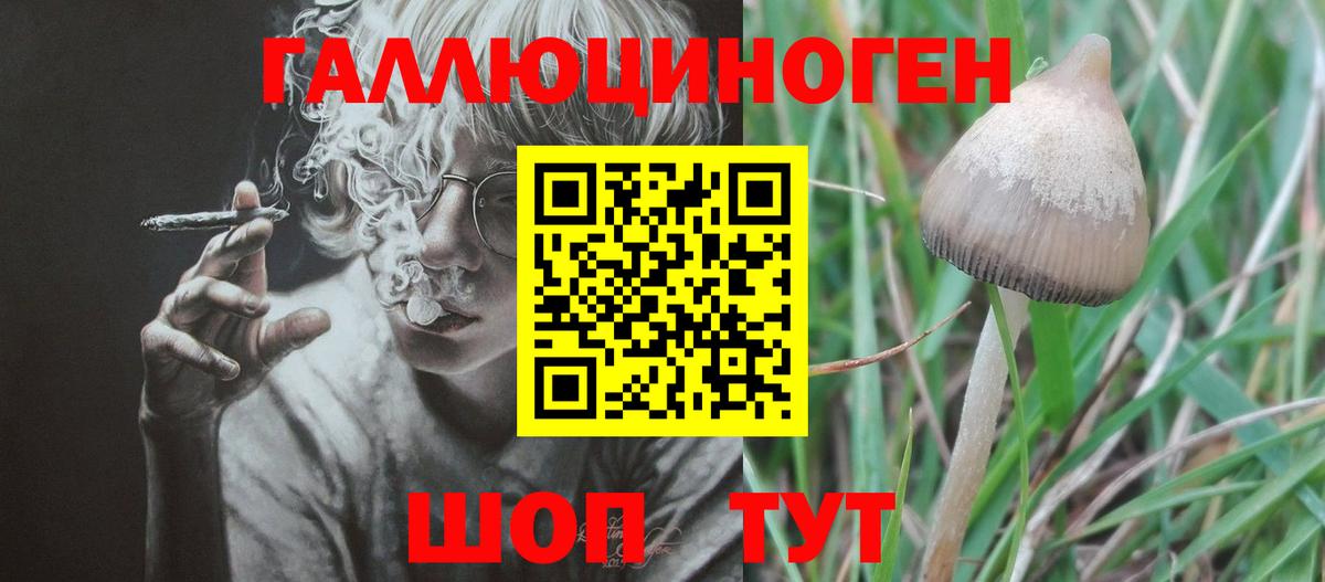 Новый Уренгой  Галлюциногенные грибы Psilocybe  Псилоцибиновые грибы прущие грибы  Вход с VPN 